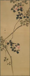 Wild Rose and a Bird, Hanging Scroll